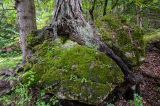 201309210859-AJS_7588.jpg